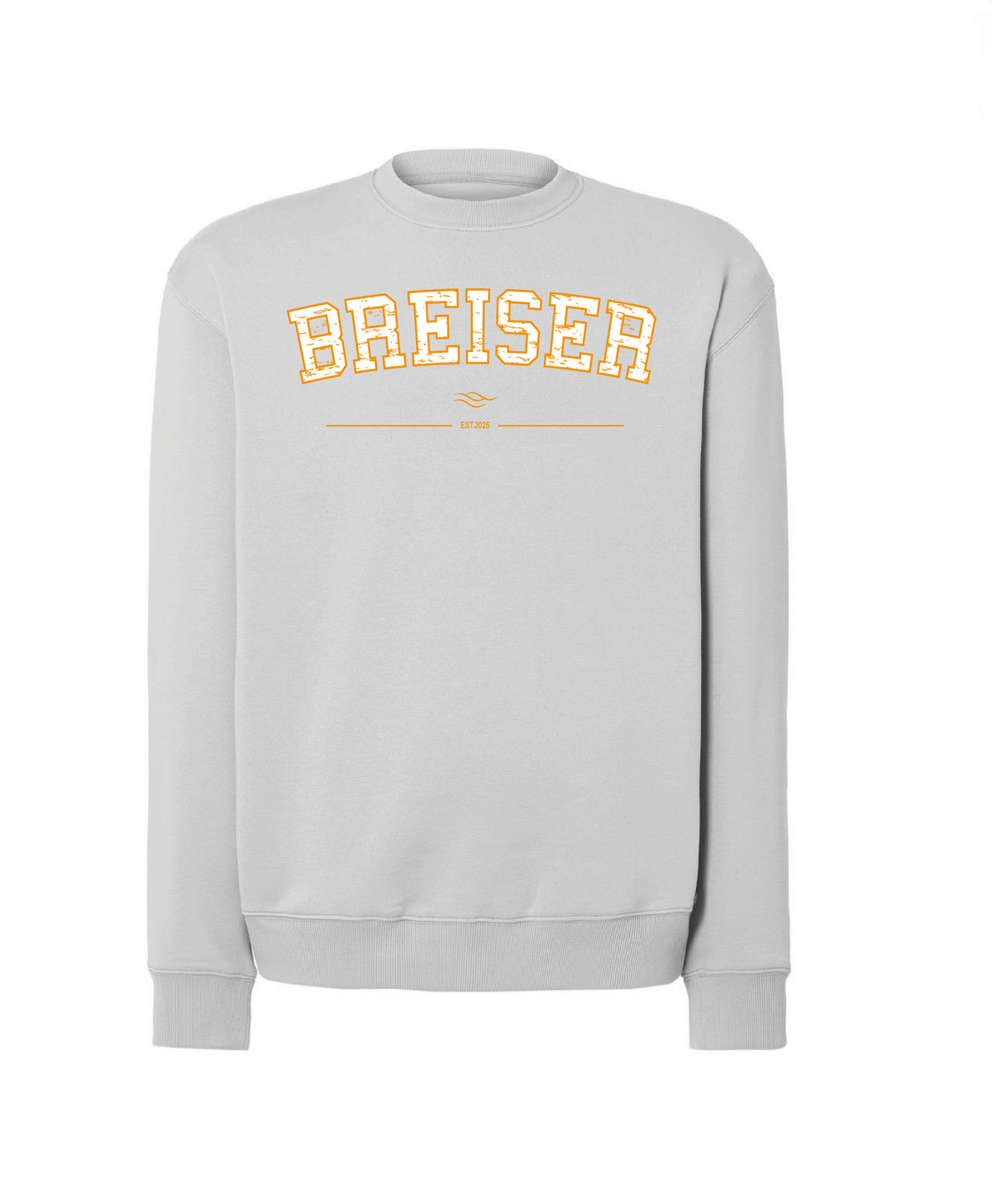 SUDADERA BREISER EST. 2025 — Gris